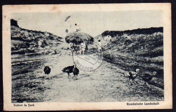 Rumänische landschaft Bauern Vedere la Tara 19 