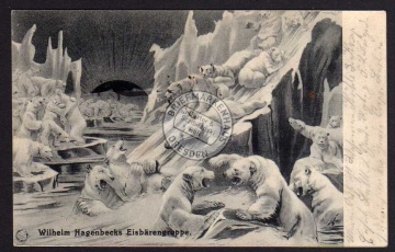 Wilhelm Hagenbecks Eisbärengruppe 