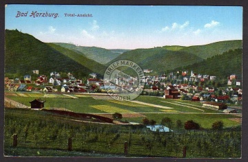 Bad Harzburg Totale um 1920 