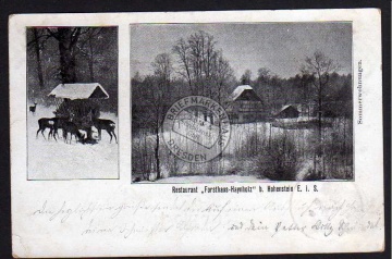Hohenstein-Ernstthal 1900 Restaurant Forsthaus 