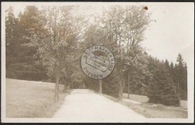 Bad Reiboldsgrün 1917 Strasse Allee Baum Bäume 