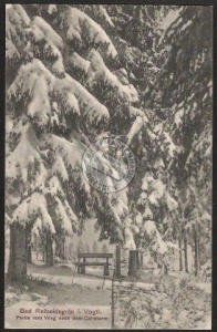 Bad Reiboldsgrün Weg Caristurm Wald Baum Bäume 