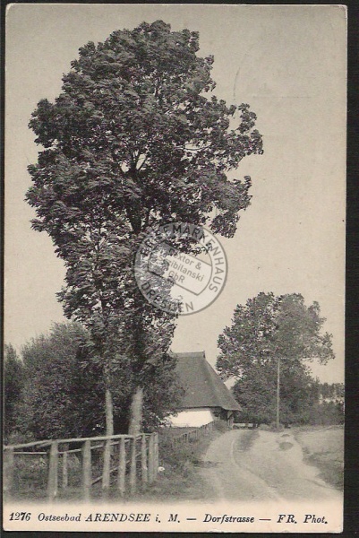 Ostseebad Arendsee Dorfstrasse großer Baum 