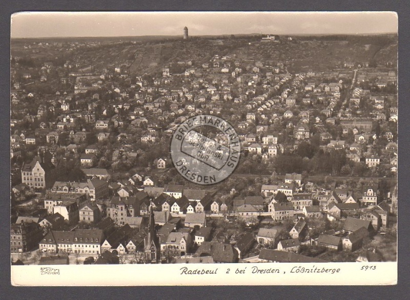 Radebeul bei Dresden Lößnitzberge Hahn Foto 