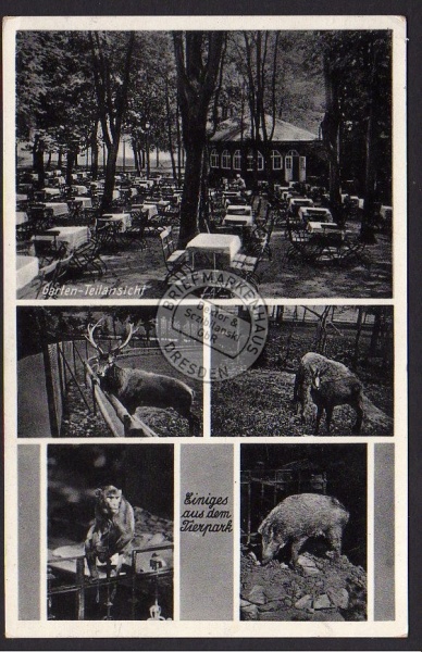 Etablissement Holzmühle Syratal Tierpark Hirsc 