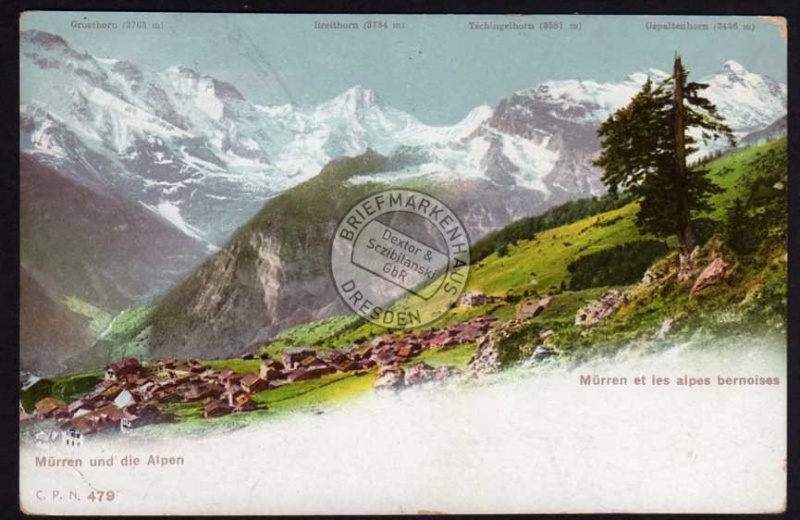 Mürren u. die Alpen 1905 Mürren et les alpes 