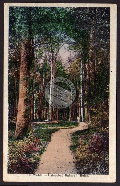 Ostseebad Dahme - Im Walde 1919 