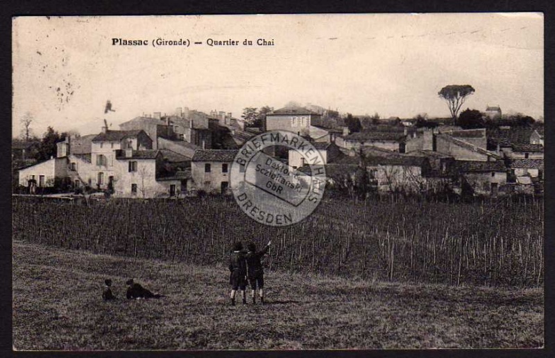 Plassac Gironde Quartier du Chai Weinberg 1931 