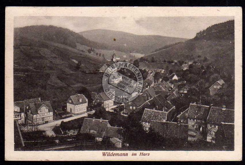 Wildemann im Harz 1924 