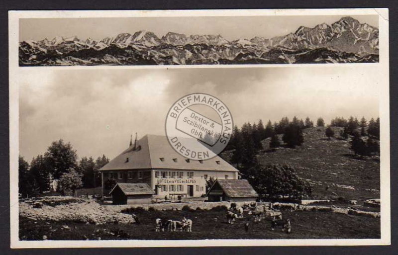 Cernier Hotel de vue des Alpes 1933 