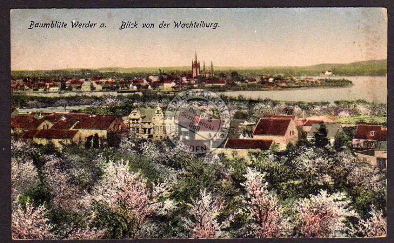 Baumblüte Werder Blick v.d. Wachtelburg 