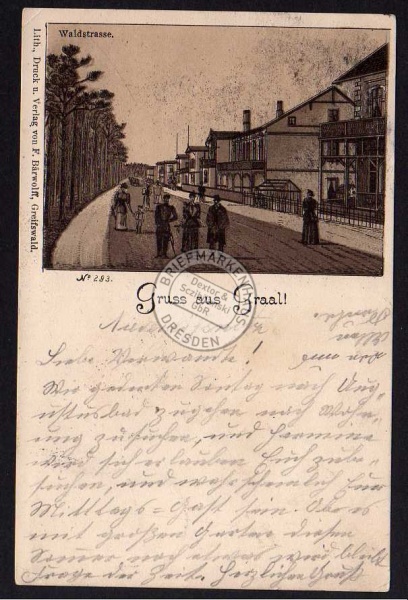 Ostseebad Graal 1903 Waldstrasse Litho 