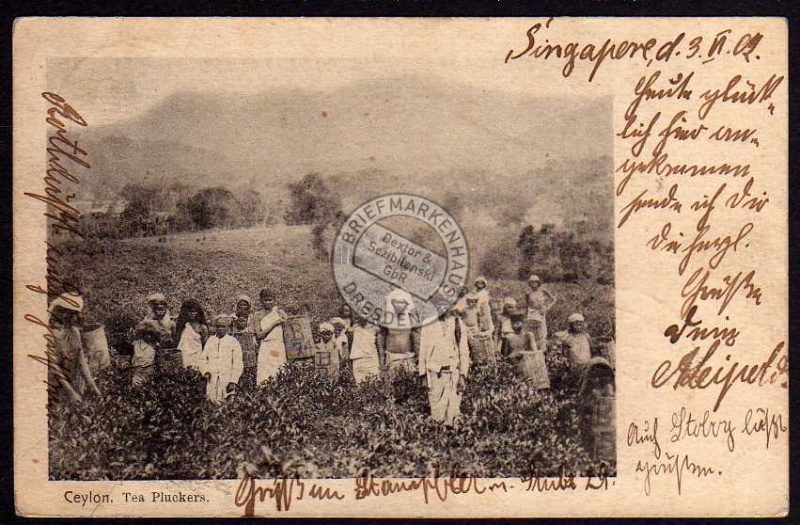 Singapore MSP 27 SMS Hertha 1902 Ceylon Tea 
