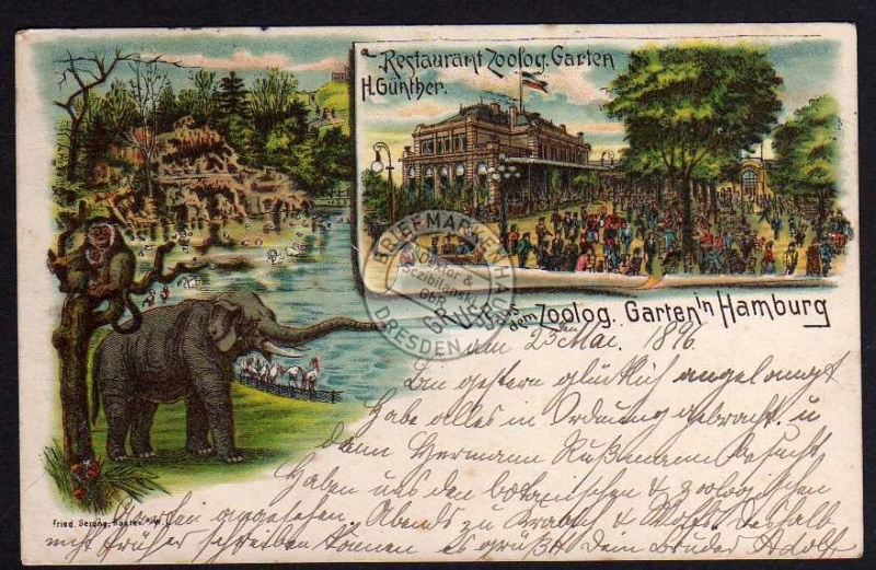 Hamburg 1896 Restaurant Zoo Elefant Affe 