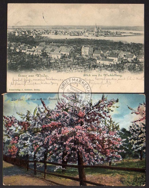 2 AK Werder Blick v d Wachtelburg Baumblüte 1900 