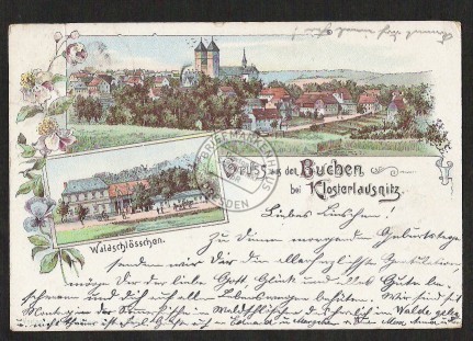 Litho Gruss aus den Buchen bei Klosterlausnitz Wa 